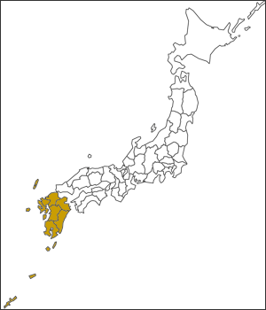 プロアトラス で使える3カ月に1度更新の地図詳細データパッケージ 九州 沖縄の地図データを収録 プロアトラス1年間地図データ更新パック 九州 沖縄 Sv4 Windows用