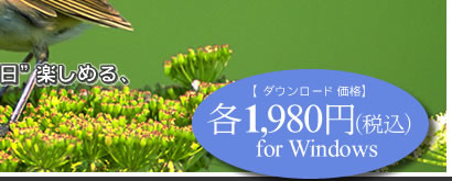 1,980ߡǹfor Windows