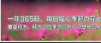 ǯ365Ϥβ֤Ȳָա
ղƽߡܤ͵᤯ɻǯ