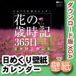 ֤κл365 DLǡ᤯ɻ楫XGAFULL EDITION