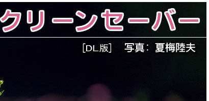 ̿Φ