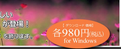 980ߡǹfor Windows