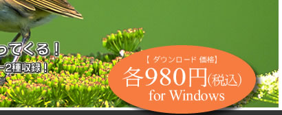 980ߡǹfor Windows